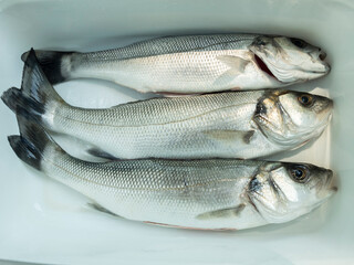 3 freshly caught sea bass in a white bowl
