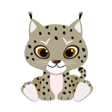 Cute lynx on white background. Vector illustration with wild animal in childish cartoon flat style.