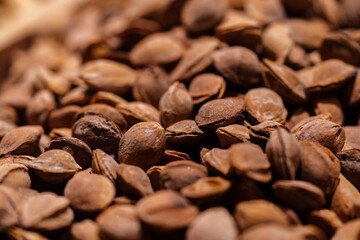 Close-up of assorted nuts on market counter