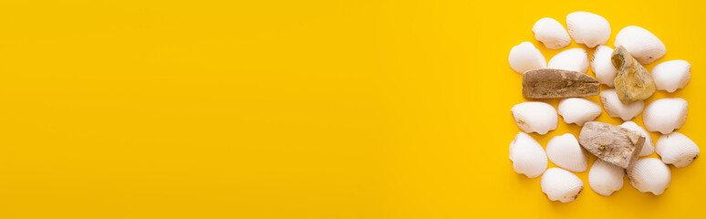 Top view of seashells and stones on yellow background with copy space, banner.