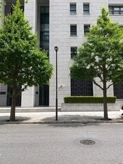 The city street of Tokyo, Japan, Marunouchi central downtown district, front of a business office building, year 2022 June 13th, sunny weekday