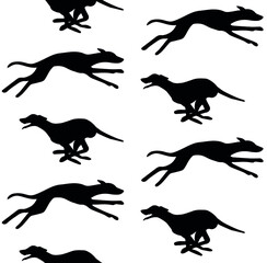 Vector seamless pattern of hand drawn running whippet dog silhouette isolated on white background - obrazy, fototapety, plakaty