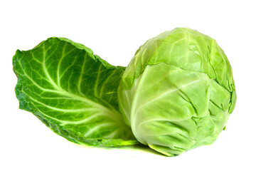 cabbage isolated on white background. spring vegetable