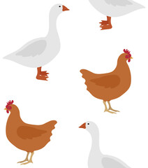 Vector seamless pattern of colored hand drawn flat chicken and goose isolated on white background