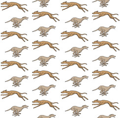 Obraz premium Vector seamless pattern of different hand drawn sketch doodle running whippet dog isolated on white background