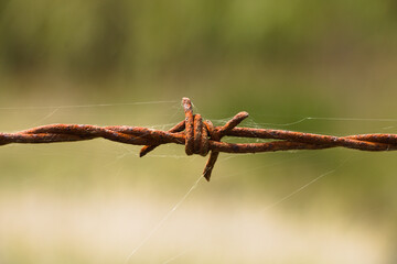 rusty barbed wire