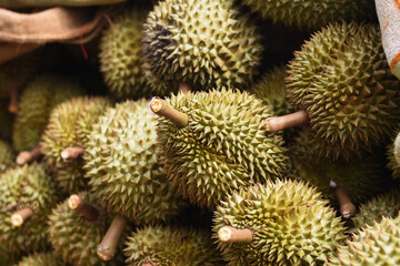 Durian fruit for sale to buyers in the Thai fruit market Durian is known as the fruit king of...