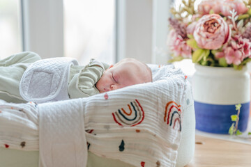 A newborn baby is lying in a cocoon