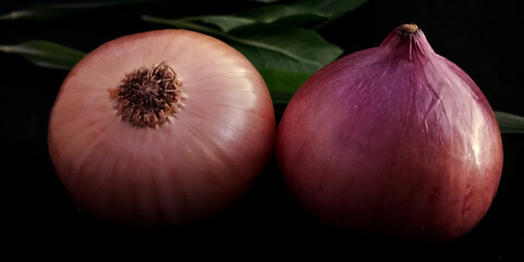 Fresh agriculture produce goods presentation for promotional activity.