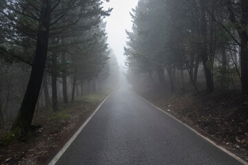 Strada di collina d'autunno in Toscana con nebbia e bordata di cipressi