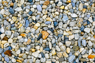 
Wet River Stone Background Various Shapes And Colors