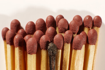 Close-up of a single burnt match in a group of matches. Clipping pass.