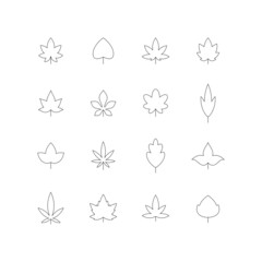 Set of flat line leaves. Collection of graphic elements for design. Vector illustration.
