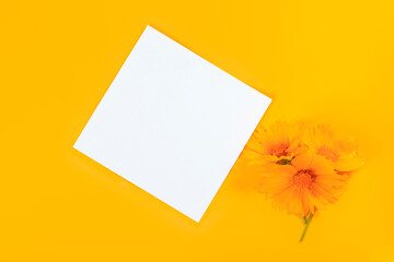 Invitation or greeting card mockup with blank sheet and and yellow summer coreopsis flowers on yellow background