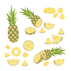 Fototapeta Pineapple set. Pineapple, piece, bit, round. Cut pineapple. Flat, vector obraz