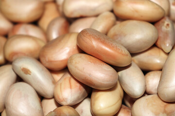 jackfruit seeds stock on shop for sell