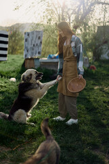 Woman stroking her big furry dog on. farm in the countryside against a backdrop of clean laundry on a rope