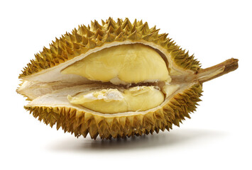 Obraz premium Durian fruit in south east asia, the king of fruits on white background 