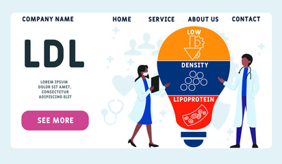 LDL Low-Density Lipoprotein acronym. business concept background. vector illustration concept with keywords and icons. lettering illustration with icons for web banner, flyer, landing pag