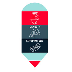 LDL Low-Density Lipoprotein acronym. business concept background. vector illustration concept with keywords and icons. lettering illustration with icons for web banner, flyer, landing pag