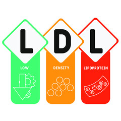 LDL Low-Density Lipoprotein acronym. business concept background. vector illustration concept with keywords and icons. lettering illustration with icons for web banner, flyer, landing pag