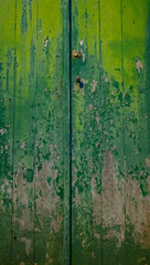 old weathered green wooden doors paint peeling and fading exterior doors of old house in the Azores of Portugal on the island of faial vertical format background or backdrop room for type content 