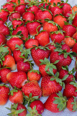 Many of ripe red strawberry 