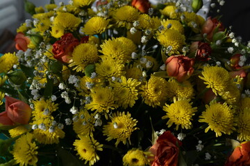 red and yellow flowers