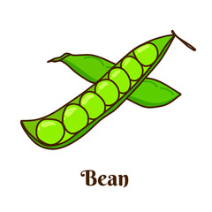 Hand drawn flat cartoon vector illustration of green bean or pea isolated on white background