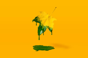 Green drops of paint flow down from flying yellow maple leaf on orange background. Minimal...