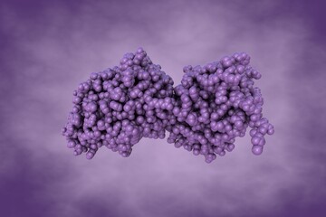Space-filling molecular model of human intelectin-1, also known as omentin, on very peri background. Rendering based on protein data bank. Scientific background. 3d illustration
