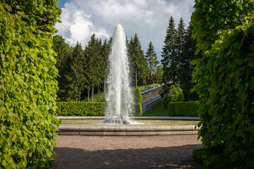 Magnificent classic fountain in the park. Summer view in the historical park. Palace park. Landmark of Russian culture.