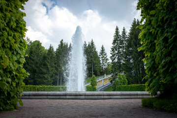 Magnificent classic fountain in the park. Summer view in the historical park. Palace park. Landmark of Russian culture.