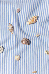 Different kinds of seashells on the blue striped fabric background top view
