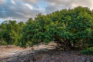 Small waterfall in the natural pools of Serrano in Chapada Diamantina