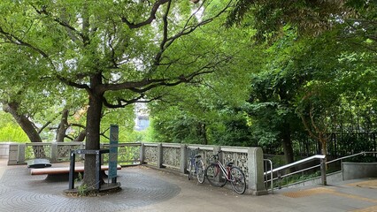 Beautiful trees & sense of nostalgia as I walk by this little street corner of “Yushima” in Tokyo, beside a bridge over Kanda river, place known as origin of historical education landmarks.  2022/6/14