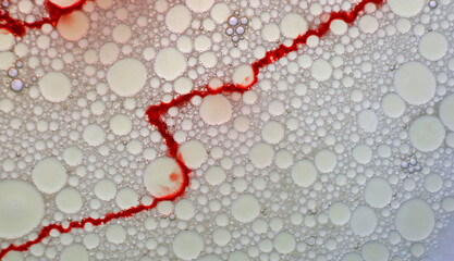 red and white abstract background with water and oil bubbles