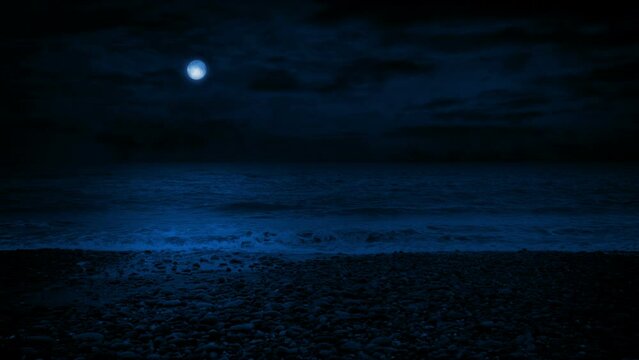 Moon Lights Up The Sea Shore