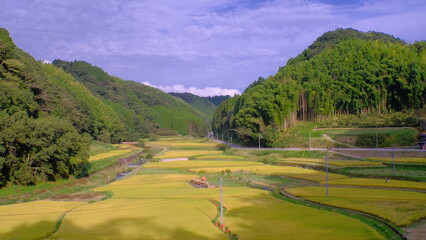 田舎の田んぼ