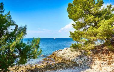 Fototapeta na wymiar Lone Bay next to Rovinj in Istria - Croatia