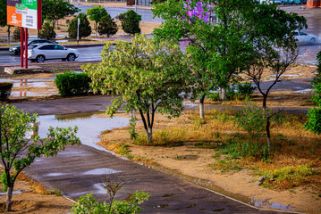 Дождь за окном