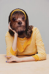 Cute female model wearing in retro style outfit headed by dog's head isolated on grey background....