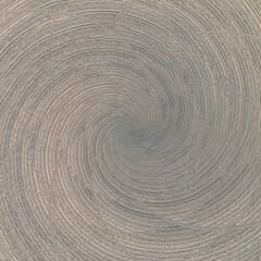 Fototapeta na wymiar texture of a tree