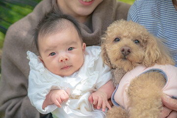 トイプードルと赤ちゃん