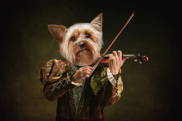 Violinist. Model like medieval royalty person in vintage clothing headed by dog head isolated on...