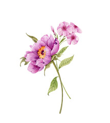 bouquet of pink flowers, watercolor illustration isolated on white background.