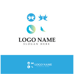 Bird wing Dove icon Template vector illustration