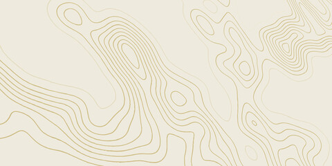 Abstract topographic contours map background. Vector geographic contour map. topography map background. White wave paper curved reliefs abstract background.	