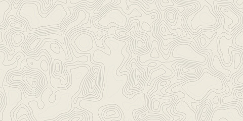 Topographic map patterns, topography line map. The concept of a conditional geography scheme and the terrain path. white contours vector topography