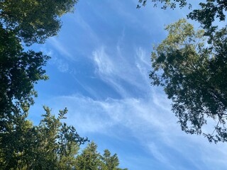 Nature, Buuilding, camping and other everyday Things and Moments